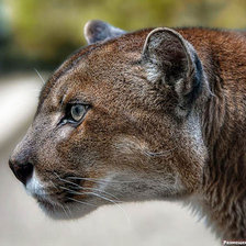 Схема вышивки «№6715»