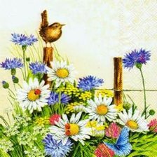Оригинал схемы вышивки «Птичка и цветы» (№6757)