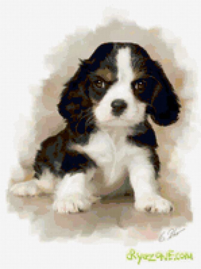 Собачка - собаки - предпросмотр