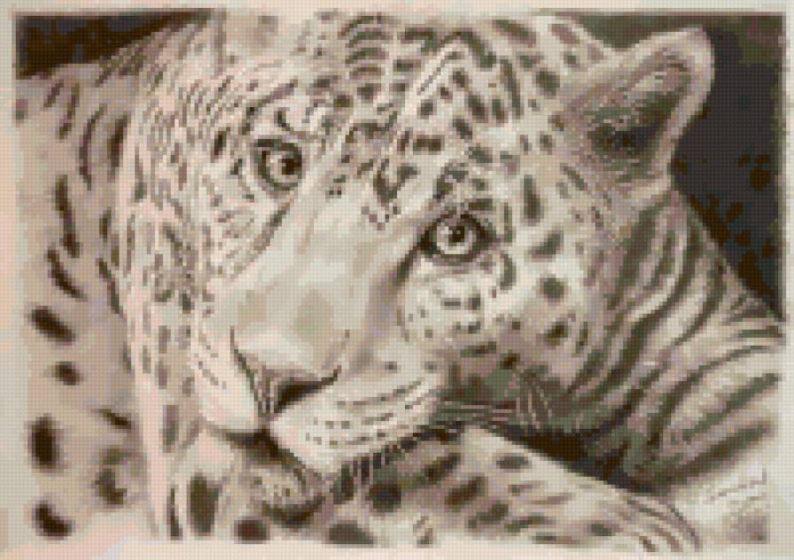 ягуар2 - животные - предпросмотр