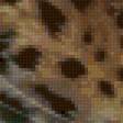 Предпросмотр схемы вышивки «Леопард» (№7423)