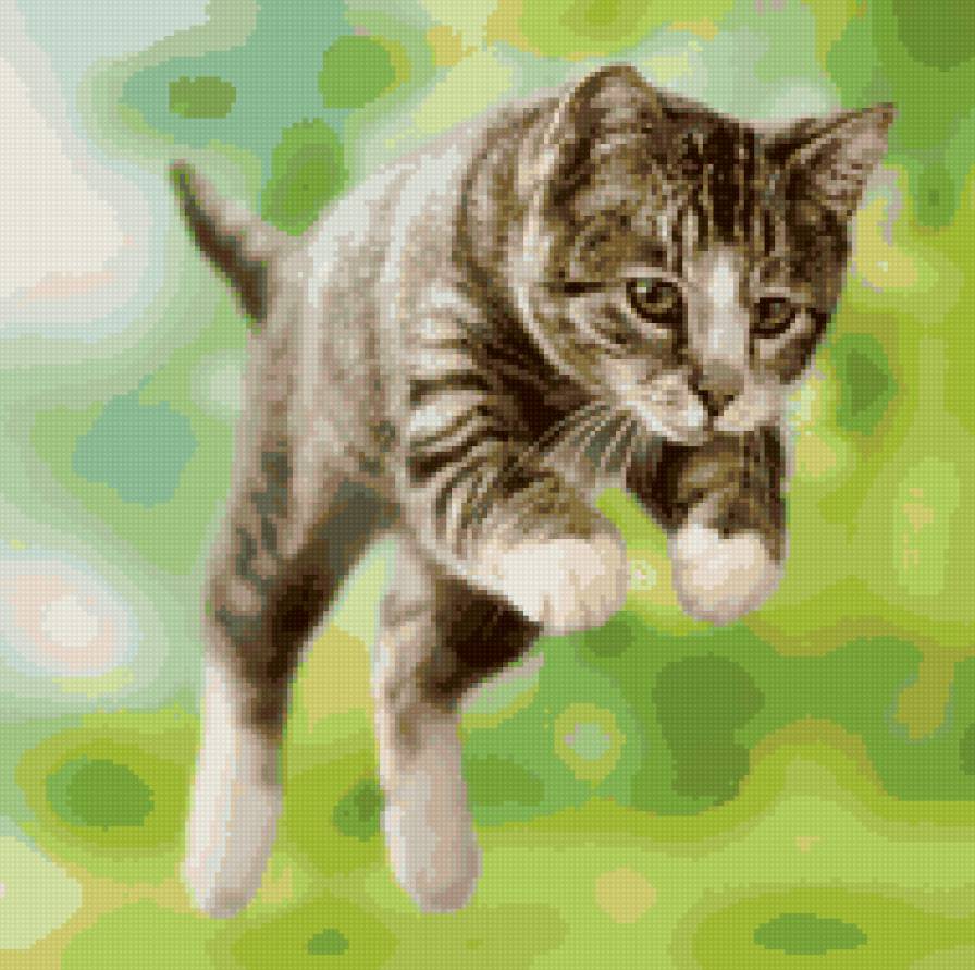 Охотник - кот - предпросмотр