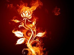 магия огня - цветы - оригинал