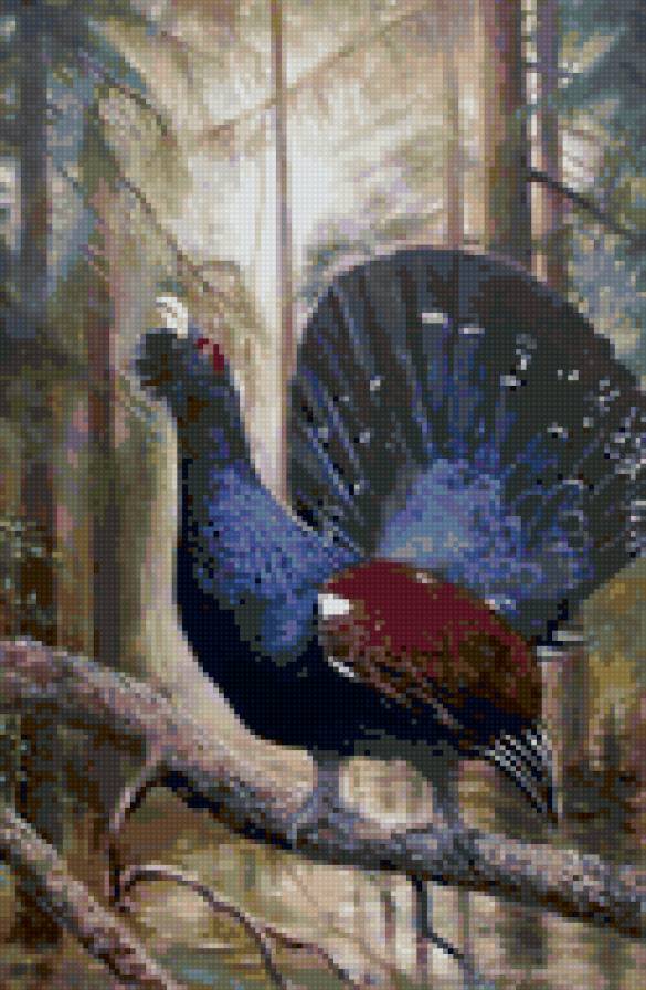 глухарь - птицы, лес, живопись, красота - предпросмотр