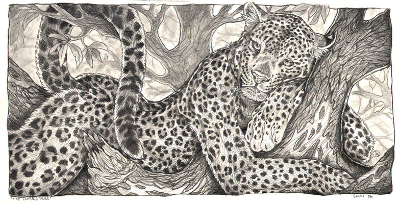 леопард - леопард, животные - оригинал
