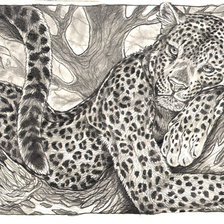 Оригинал схемы вышивки «леопард» (№7639)