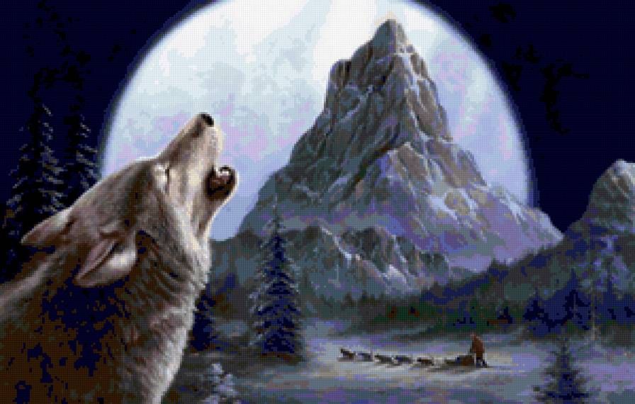 волк - животное, зверь, волк, луна, тропа, лес - предпросмотр