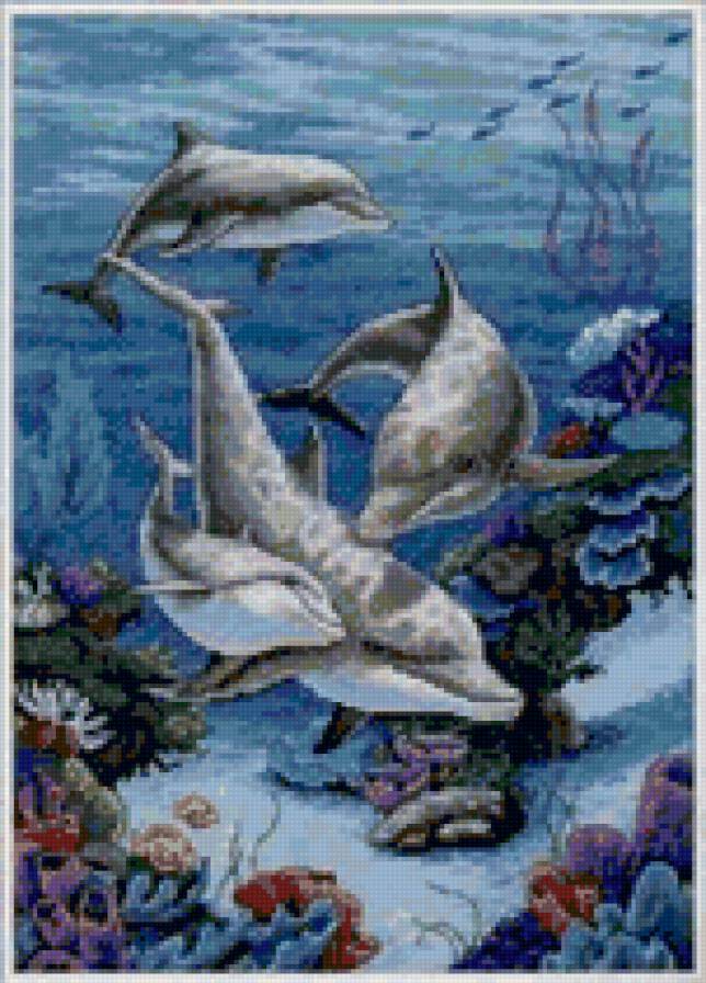 №8140 - море, дельфины - предпросмотр