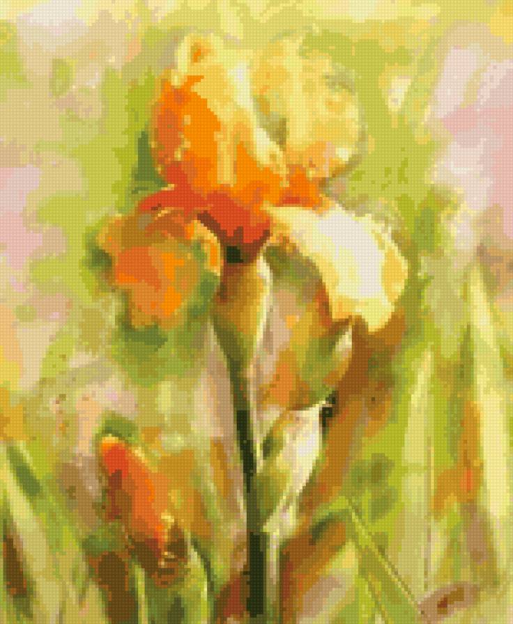 Оранжевые ирисы - ирисы, природа, цветы, акварель, живопись - предпросмотр