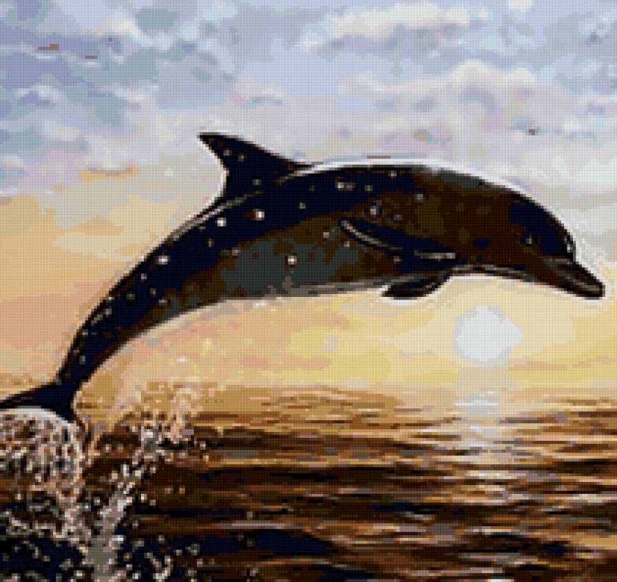 Delfin - delfin - предпросмотр