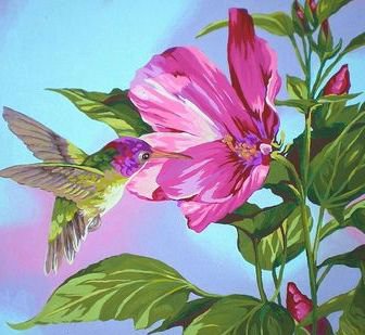 Kolibri - kolibri - оригинал