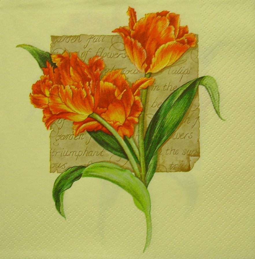 тюльпаны - подушка, цветы - оригинал
