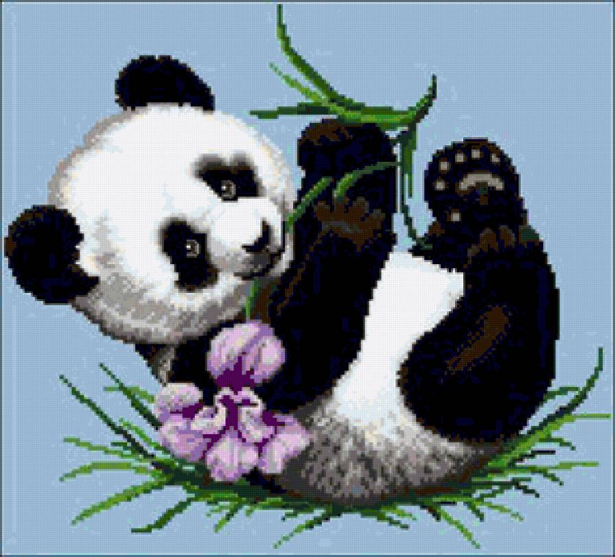 Маленький пандёнок)) - панда, животные - предпросмотр
