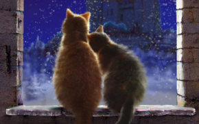 ночное рандеву - кошки, пара, нежность, ночь - оригинал
