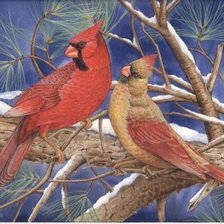 Схема вышивки «№8831»