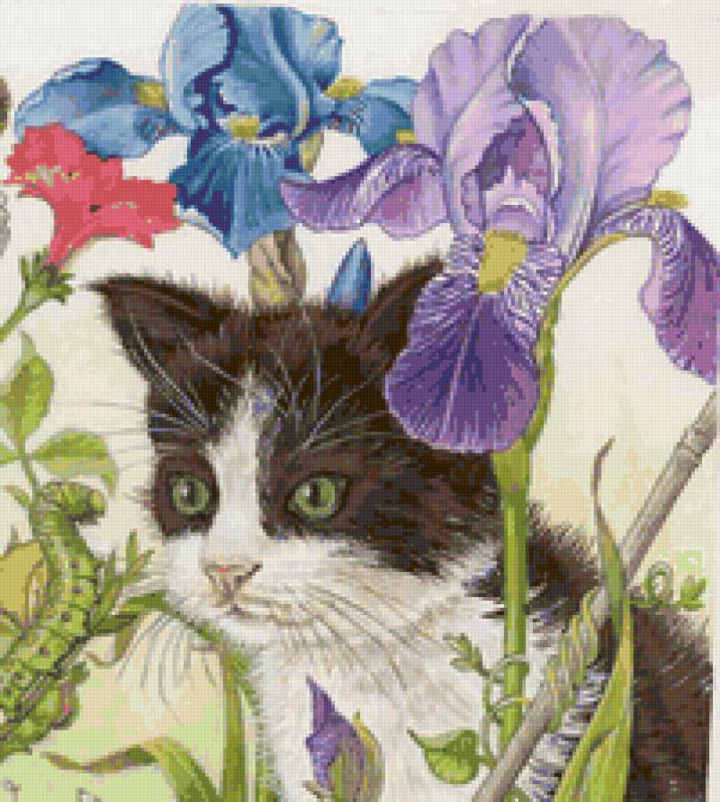 №8835 - кошка - предпросмотр