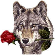 Оригинал схемы вышивки «Волк» (№9073)