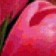 Предпросмотр схемы вышивки «тюльпаны» (№9104)