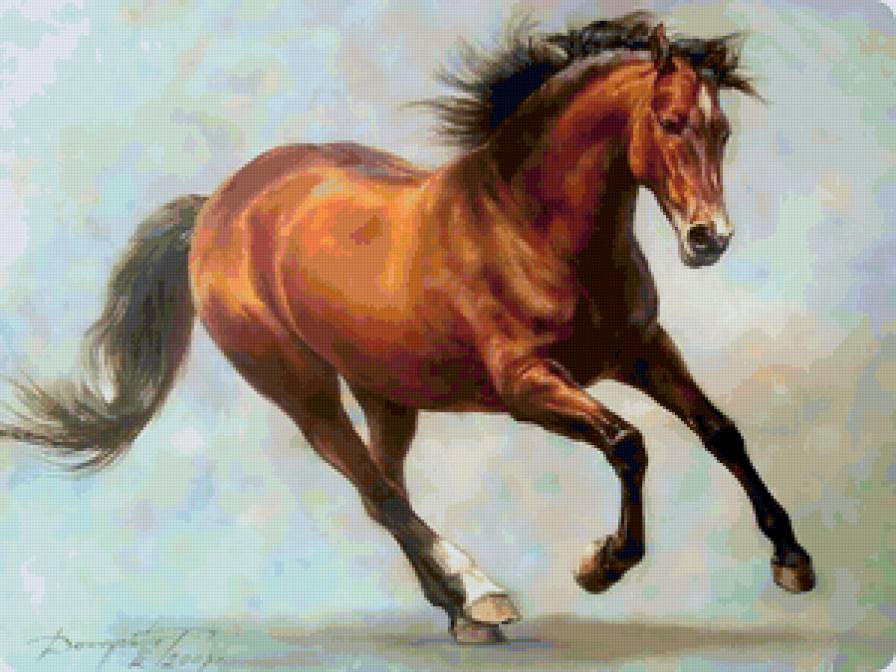 бегущий конь - животные - предпросмотр