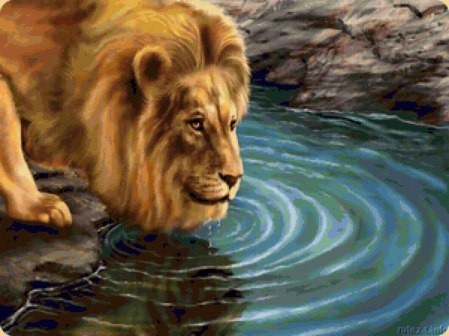 царь зверей - животные - предпросмотр