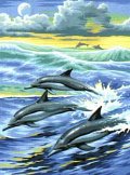 дельфины - спутники, дельфины, море - оригинал