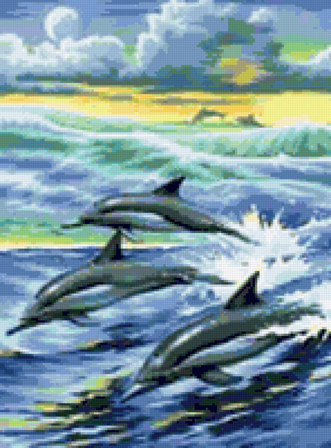 дельфины - спутники, дельфины, море - предпросмотр