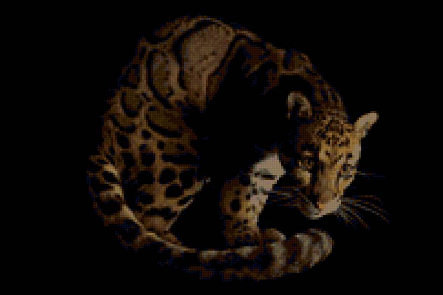 №9290 - предпросмотр