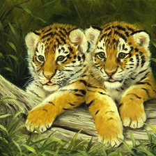 Оригинал схемы вышивки «Милые тигрята)» (№9311)