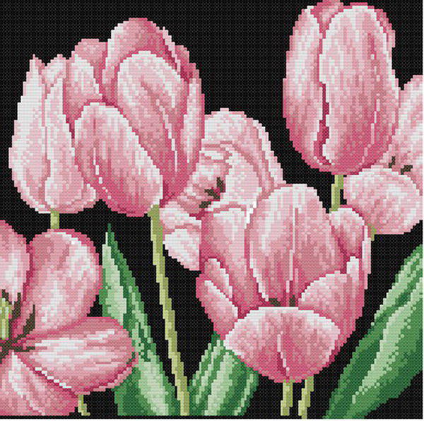 Тюльпаны) - flowers, цветы, тюльпаны - оригинал