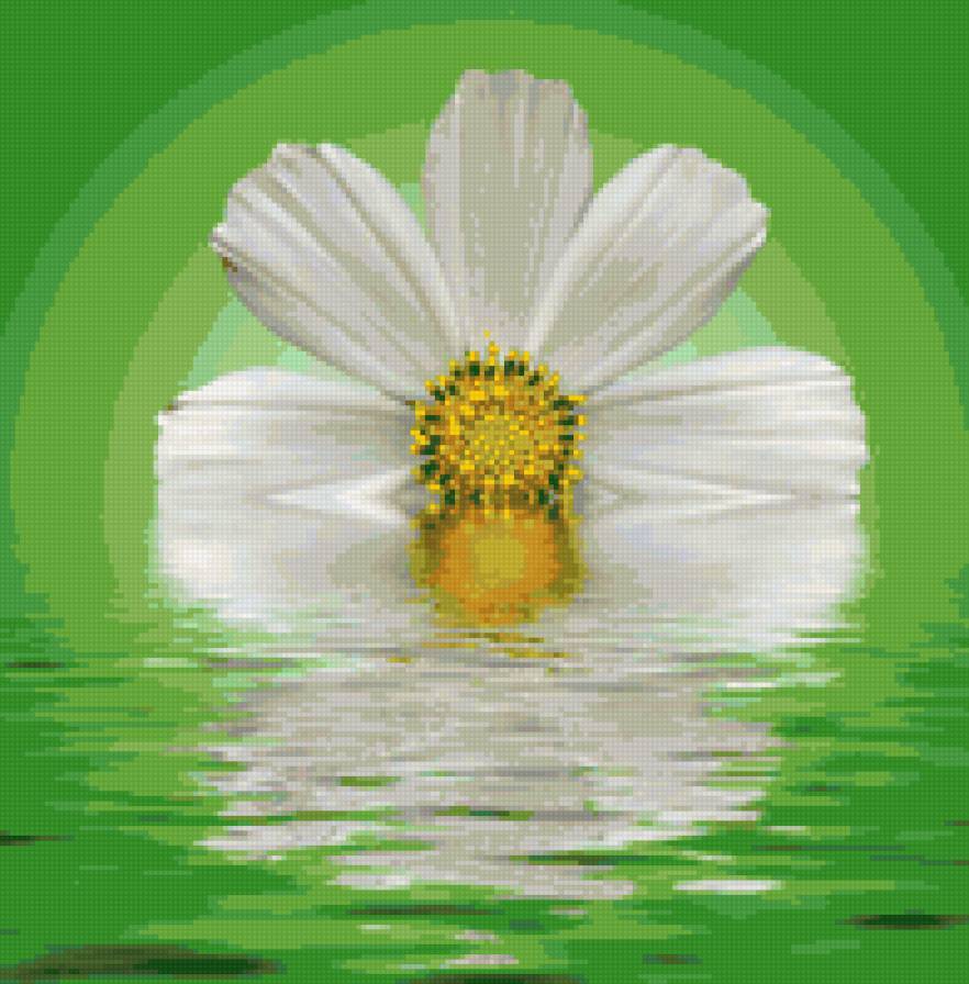 №9329 - предпросмотр