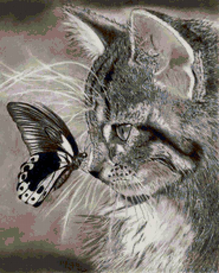 №3354346 - бабочка, кошка, кот - предпросмотр