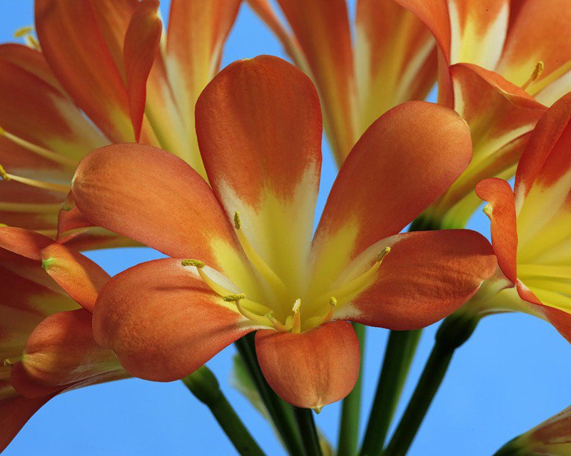 №9705 - оригинал