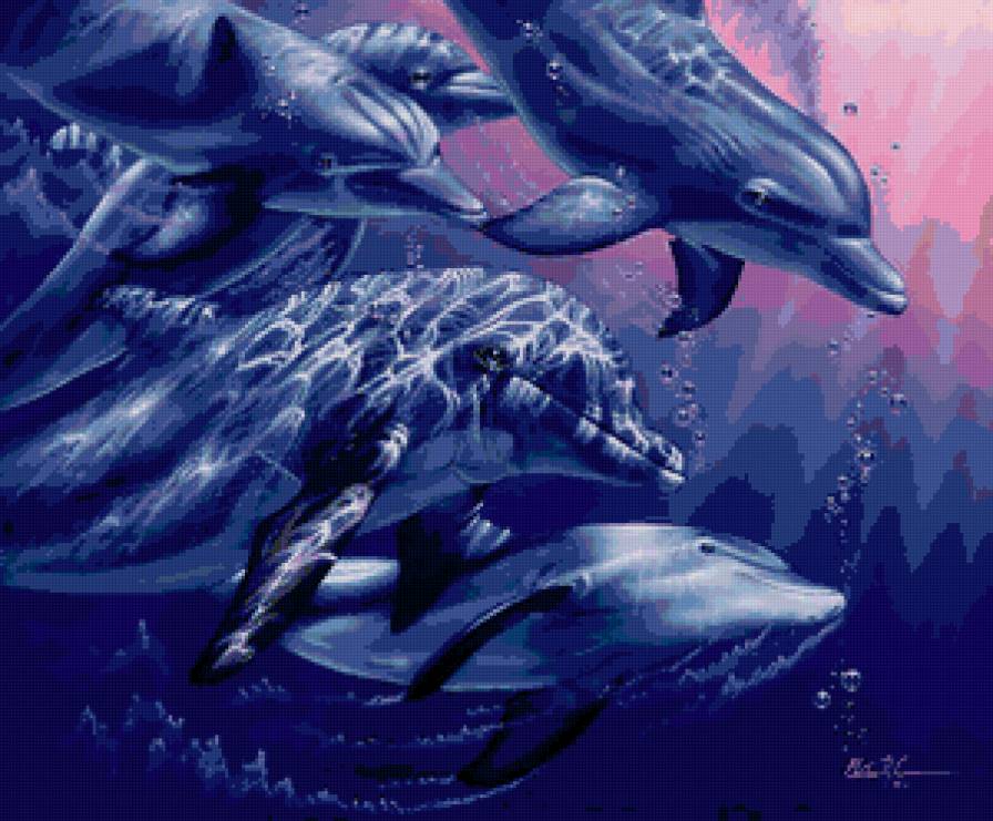 Серия "Дельфины" - животные, море, дельфины - предпросмотр