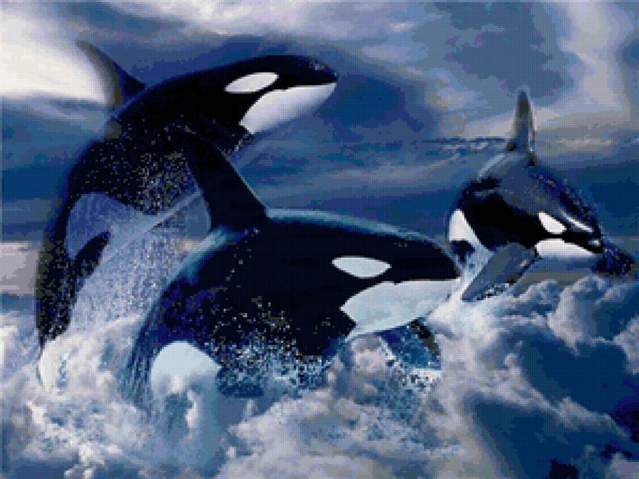 Серия "Дельфины" - море, дельфины, пейзаж, касатки, животные - предпросмотр