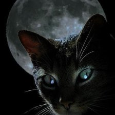 Схема вышивки «Ночная кошка»