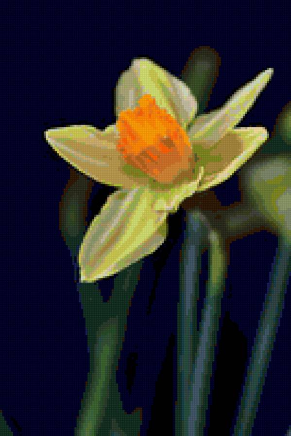 №9839 - предпросмотр