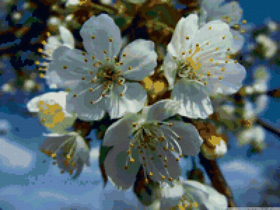 №9895 - предпросмотр