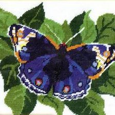 Схема вышивки «Бабочка, весна, красота»