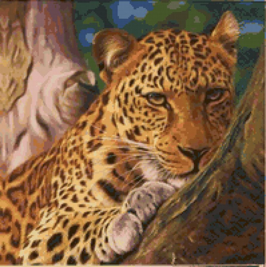 Леопард - дикие кошки, леопарды, звери, природа, леопард, хищник - предпросмотр