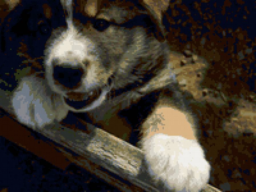 барни - предпросмотр