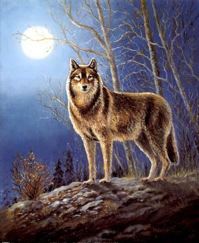 Волк при луне))) - волк, луна - оригинал