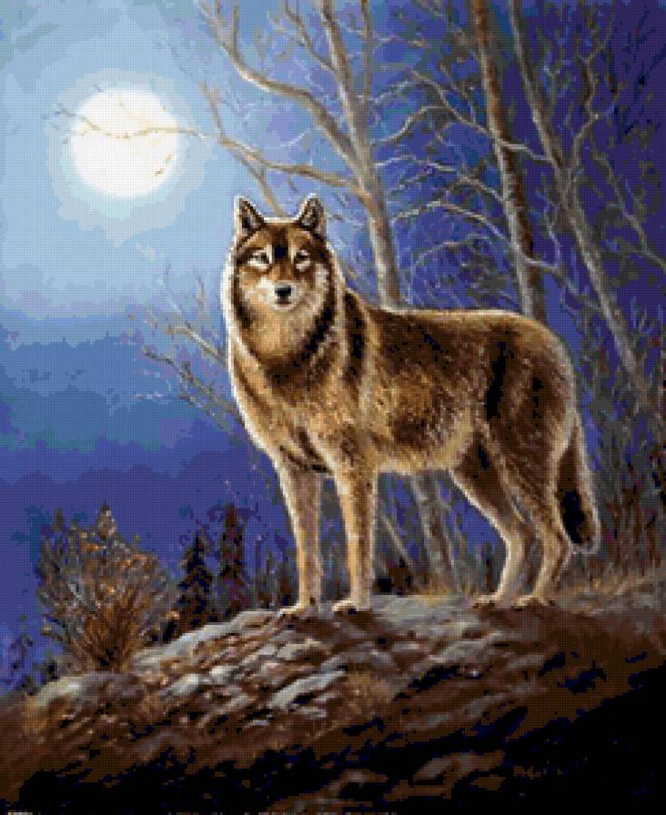 Волк при луне))) - луна, волк - предпросмотр