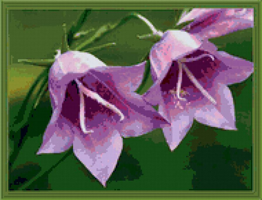 №10429 - предпросмотр