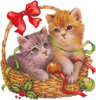 Милые котятки) - домашние животные, питомцы, котята - оригинал