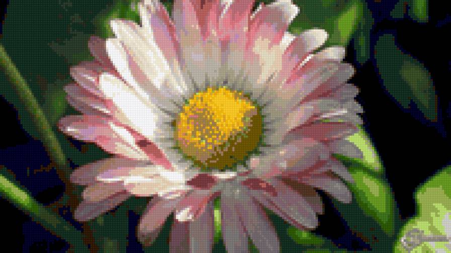 №10473 - предпросмотр