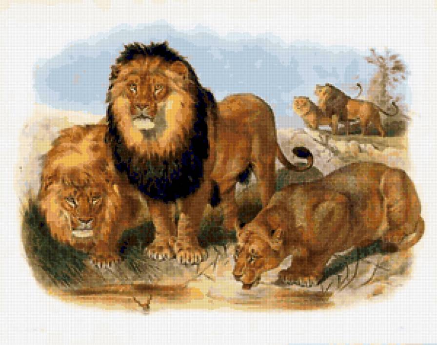 №10531 - предпросмотр