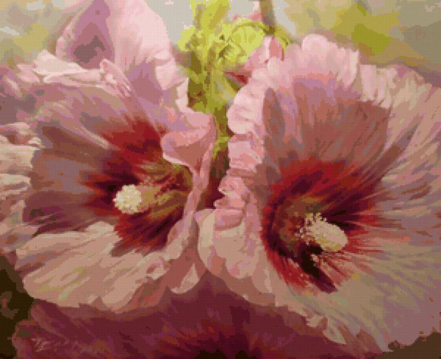 Мальва - цветы, букет, мальва - предпросмотр