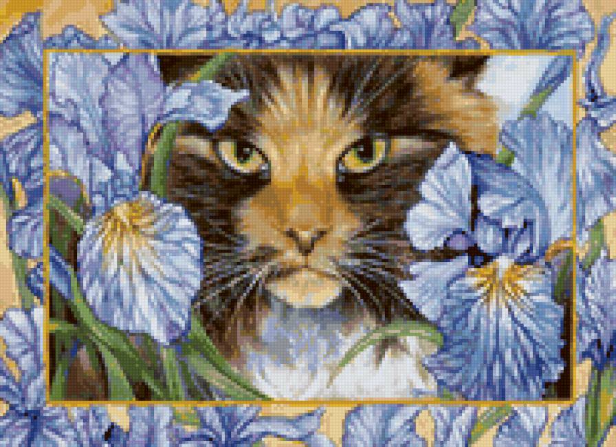 Кошки в цветах - кошки в цветах, ирис, бабочки, кошка, ирисы, цветы - предпросмотр