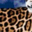 Предпросмотр схемы вышивки «леопард» (№10760)