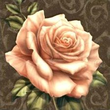 Оригинал схемы вышивки «подушка роза» (№10928)